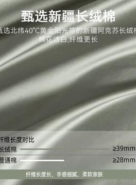 100长绒棉纯棉全被棉BTZ床上四件套贡缎单套罩季床款床笠四款