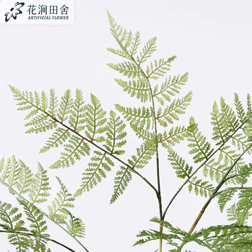 仿真绿植马耳蕨波斯草 婚庆仿真绿植蕨草植物墙造景装饰蕨类绿植