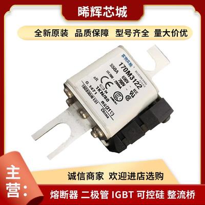 170M3418 170M3419 库存充足 型号齐全直流快速熔断器现货