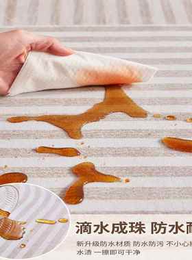 2025地毯客厅轻奢家发沙风新款AL101288可擦用奶油免洗感防水地垫