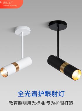 明装射灯吸顶可调角度长杆条形单头店铺商用展会长臂防眩目无频闪