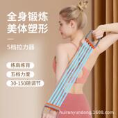 家用臂力器开胸阔背拉力器胸肌臂力训练器五根可拆卸男士 拉力绳
