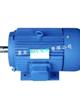 永磁同步电机 FTY132000-2 低摩擦永磁同步电机