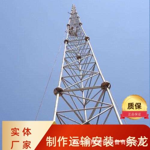 避雷针避雷塔不锈钢圆钢避雷塔独支架避雷塔户外铁塔加工