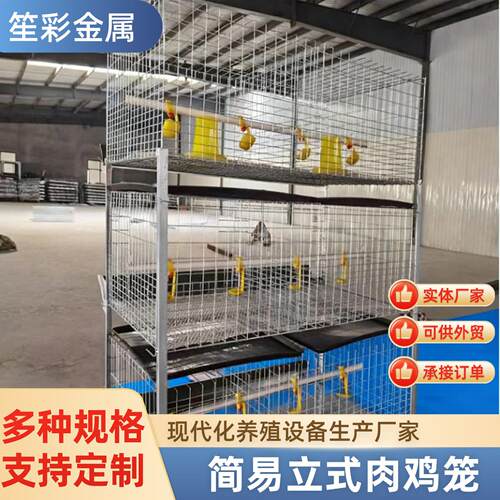 H型立式肉鸡笼养殖多层叠式养殖场养鸡笼含托粪盘食槽肉鸡笼