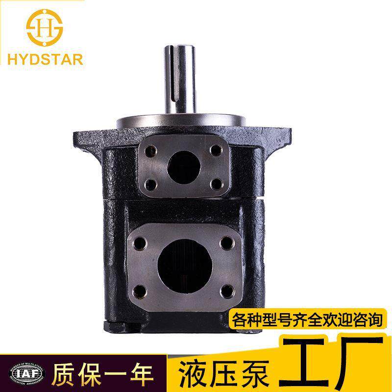 厂家现货denison丹尼逊T6C 014 1R01 C1叶片泵液压压铸机T6c