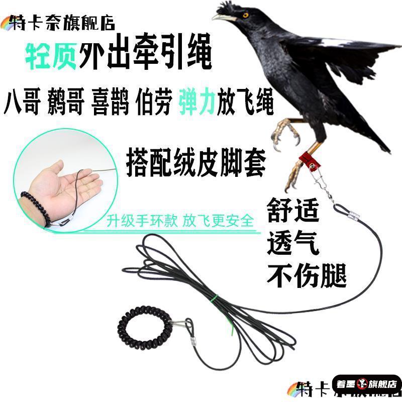 鸟用轻便放飞绳八哥鹩哥白颈乌鸦伯劳外出牵