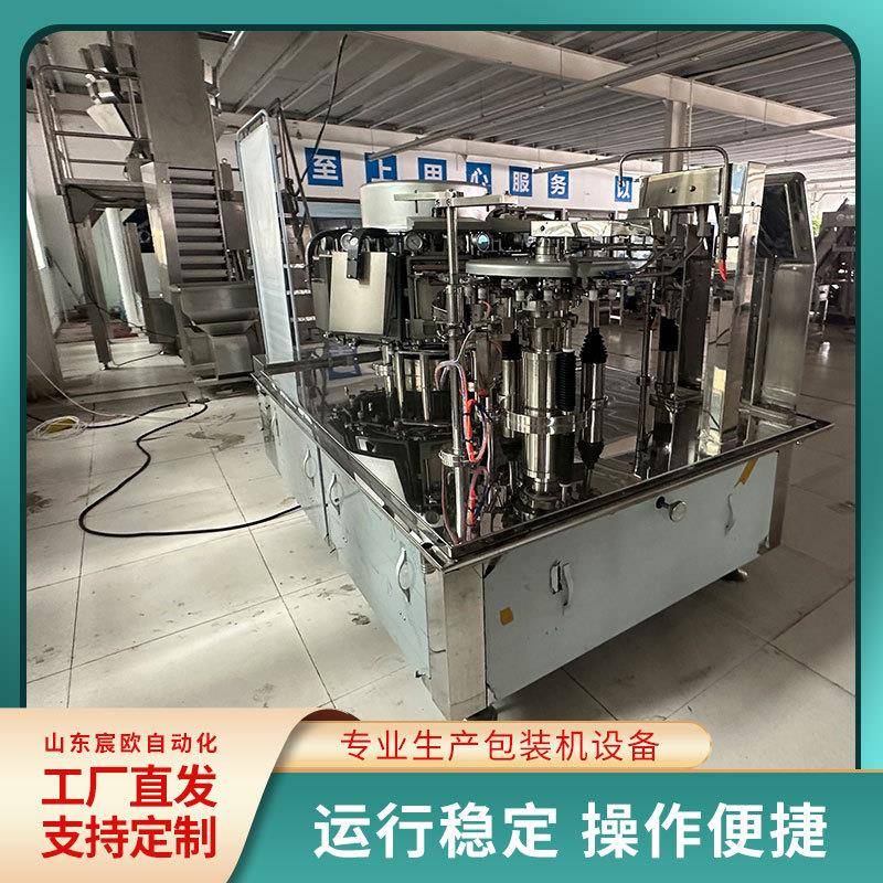 给袋式预制菜包装机宸欧给袋式包装机酸菜给袋式全自动真空包装机