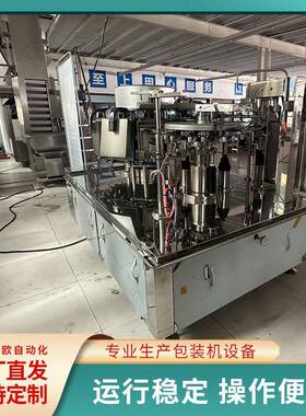 给袋式预制菜包装机宸欧给袋式包装机酸菜给袋式全自动真空包装机
