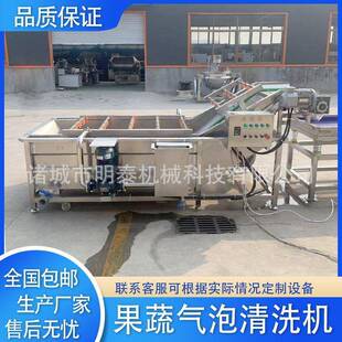 商用大型洗菜洗果机韭菜小葱香芹大姜去泥清洗机苹果桃子李子洗果