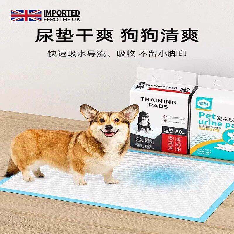 英国狗尿垫宠物厕所除臭吸水凉垫泰迪比熊尿不湿加厚一次性尿片
