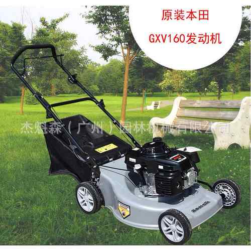 AMK530L草坪机21寸大底盘割草机手推式草坪车大底盘割草机