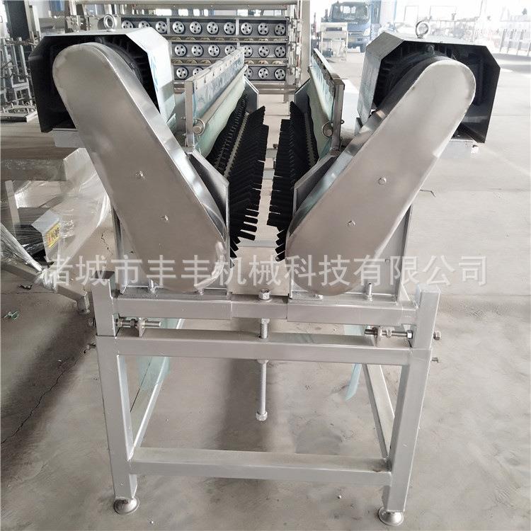 家禽屠宰流水线鸡鸭鹅脱脖毛机器活鸡宰杀设备一年保修