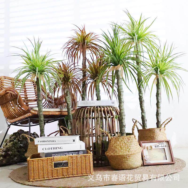 北欧风ins风剑麻仿生植物装饰大型盆栽落地室内造景假树仿真绿植