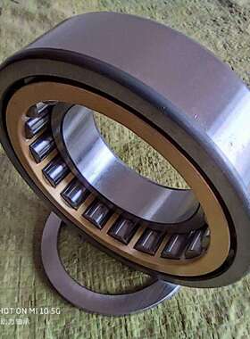 IAN德国进口轴承R9N226RN22R8RN30RN306N307RNTDR308RN305M1