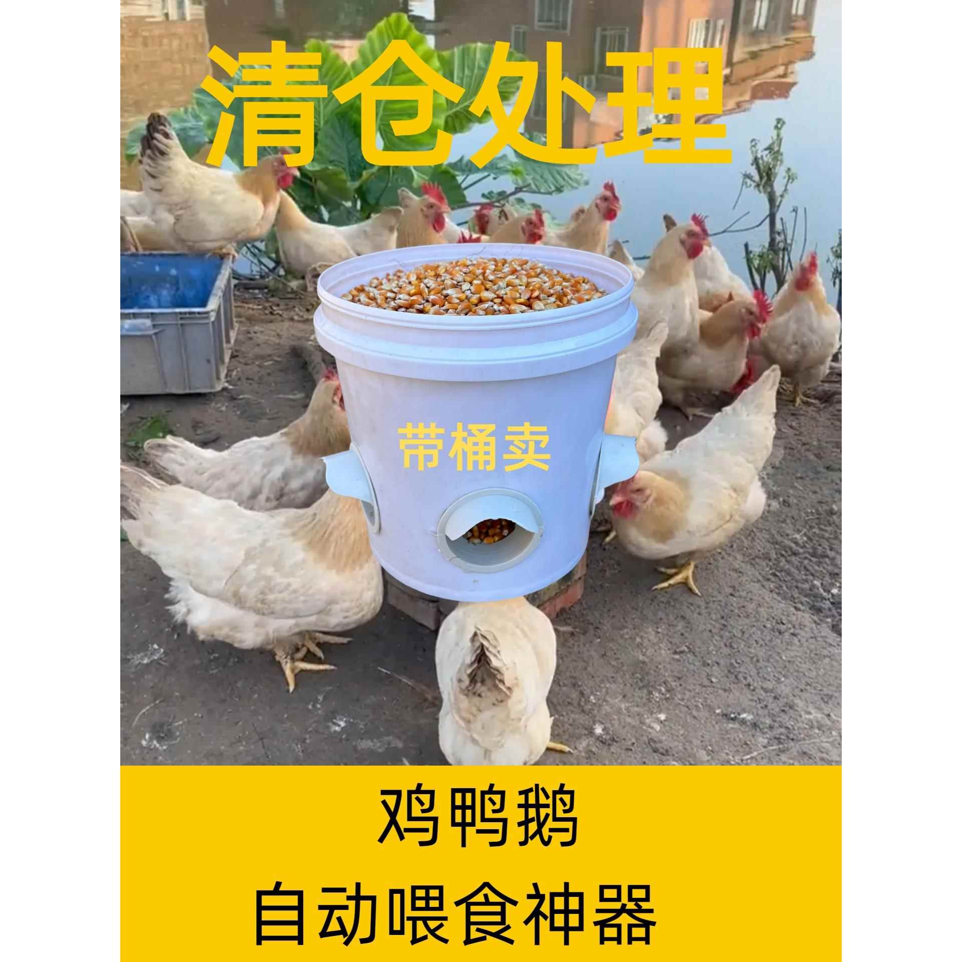鸡鸭鹅自动下料器家禽专用食盆饲料喂食器新款全自动新型喂鸡食槽