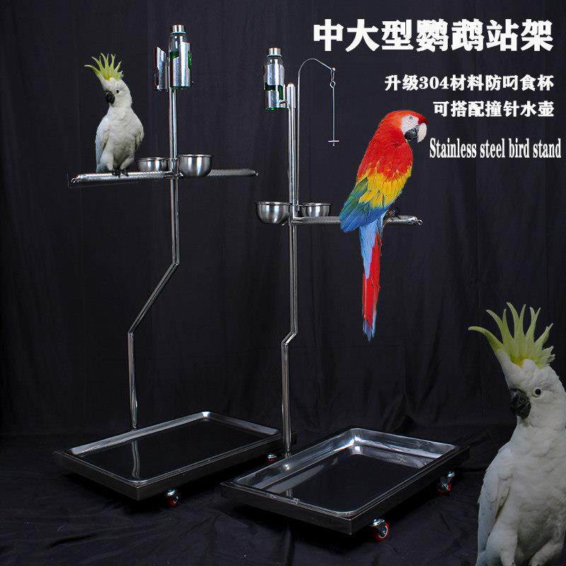 大鹦鹉站架大型双鸟鹦鹉鸟架不锈钢架子栖息超大号架养落地鹦鹉7