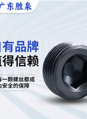 12.螺9螺级六美制喉塞螺丝内角N308PT塞止付螺丝堵头螺丝精密栓螺