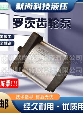 罗茨RONZIO齿轮泵02ZAG06/04/08/11/14/17/20/25/31E034S-0B油泵