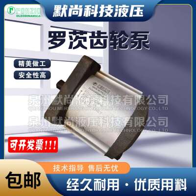 罗茨RONZIO齿轮泵02ZAG06/04/08/11/14/17/20/25/31E034S-0B油泵