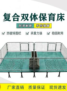 仔猪保育床围栏复合漏粪板带电热板小猪保育栏猪床母猪产床定位栏