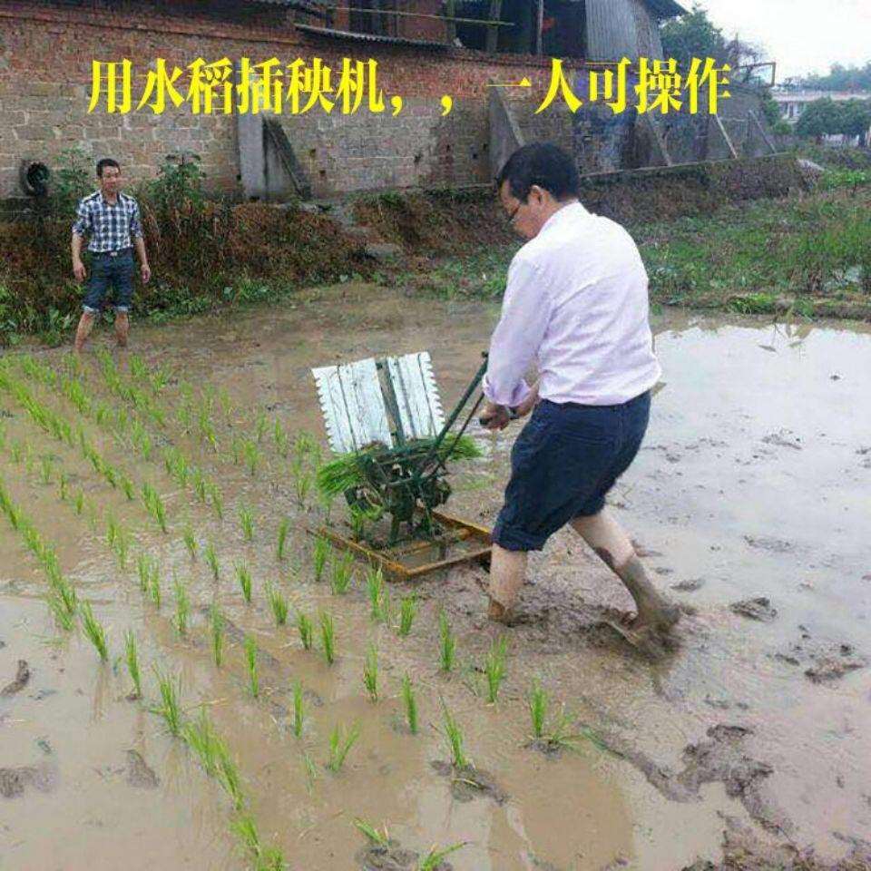 插秧机手摇式水稻新式两行插禾机小型插秧机种植机农用耕种机械