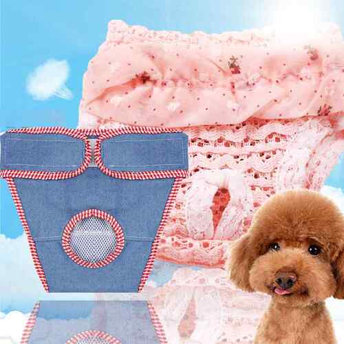 清仓小中型犬雪纺牛仔生理裤内裤宠物狗狗猫咪舒适透气衣服用品