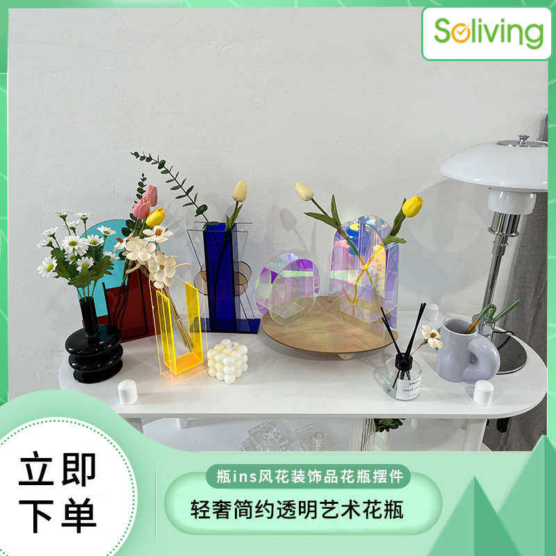 干花花瓶装饰品简约轻透明 风客厅奢摆件艺术力水培花瓶ins亚克
