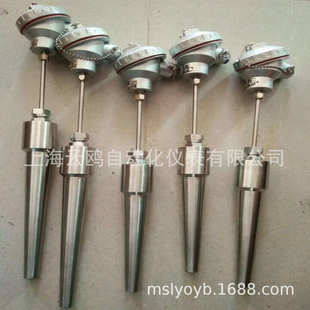 620G WRM 630G电厂电站锅炉用高温高压锥形热电偶 630 WRN