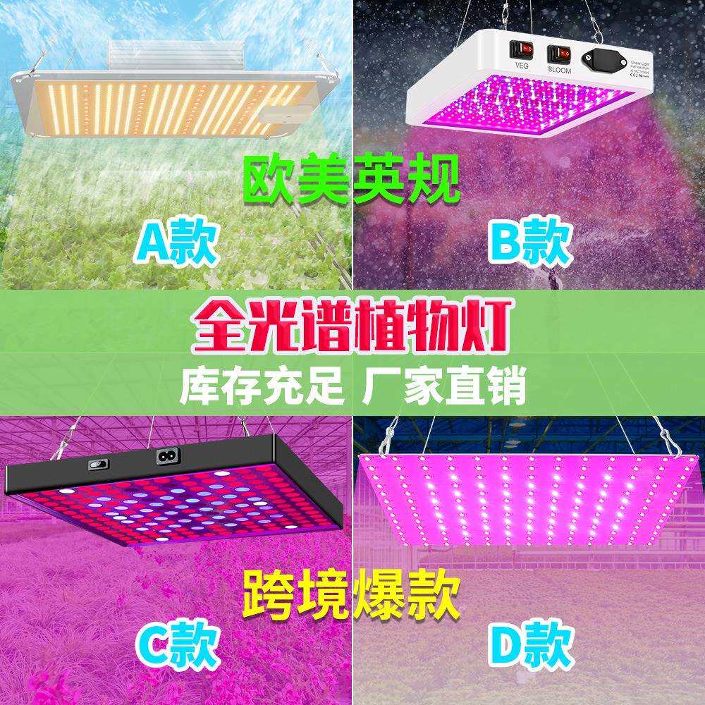 谦润照明100W植物灯LED80W多肉补光2000W温室灯大棚50W大功率400W