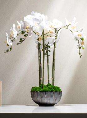 新中式台手感仿真蝴业蝶兰花商饮饭店前摆件YB-DZ-HY餐玄关壁龛餐