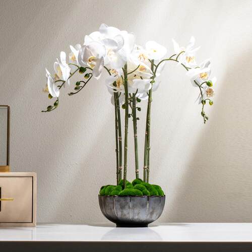 新中式手感仿真蝴蝶兰花商业餐饮饭店前台摆件玄关壁龛餐桌花摆花