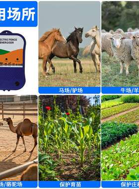 畜电围TT-P19栏牧场养殖牛羊猪高压牧冲脉电子围栏主机电防围栏护