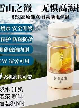 旅行可携式电热水杯双层保温迷你小型玻璃养生杯低功率学生宿舍用