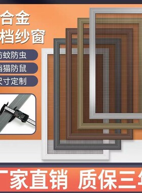 铝合金沙纱窗可推拉隐金刚网形纱窗自装CLT用推拉家式窗塑钢防蚊