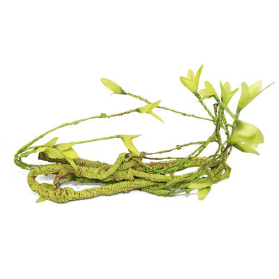 爬虫缸树藤树枝蜥蜴寄居蟹陆生攀爬造景用品爬宠仿真植物藤条装饰