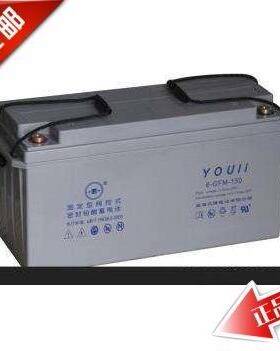 原装有利YOULI蓄电池6-GFM-150发电厂直流屏EPS后备电源 12V150AH