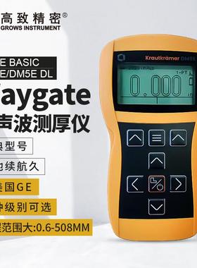 Waygate超声波测厚仪腐蚀测厚仪DM5E Basic/DM5E/DM5E DL原美国GE