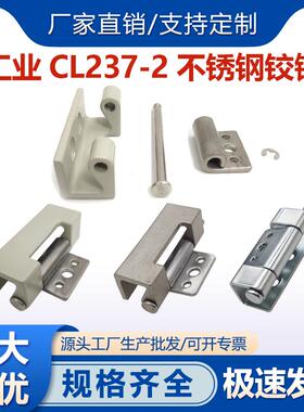 CL237-2不锈钢铰炼加厚304配电控制箱暗合页隐藏式柜锁可拆卸铰炼
