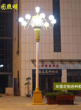 LE中华灯市政路D灯SPQ6米8米9米10观米景灯户外道路高灯广场杆玉