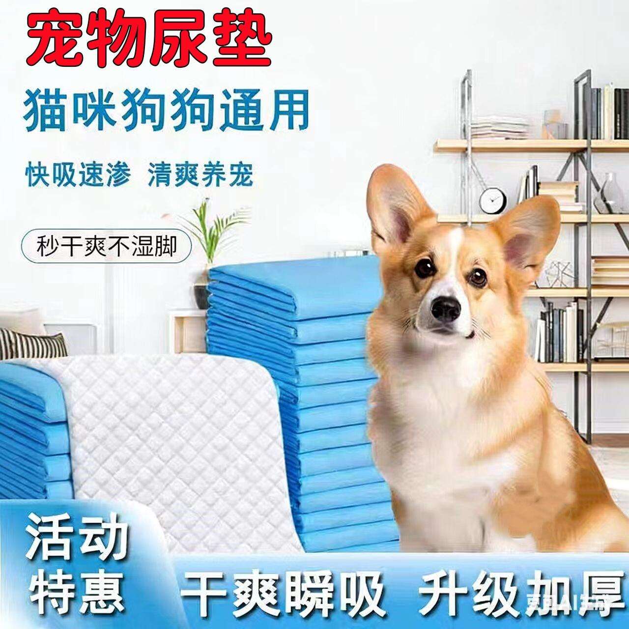 宠物尿垫加大加厚除臭猫狗通用尿垫宠物尿片一次性吸水凉垫尿不湿
