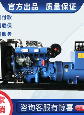/150三相发电机组/柴油30050kw100200潍坊/380v千瓦停电备用500/