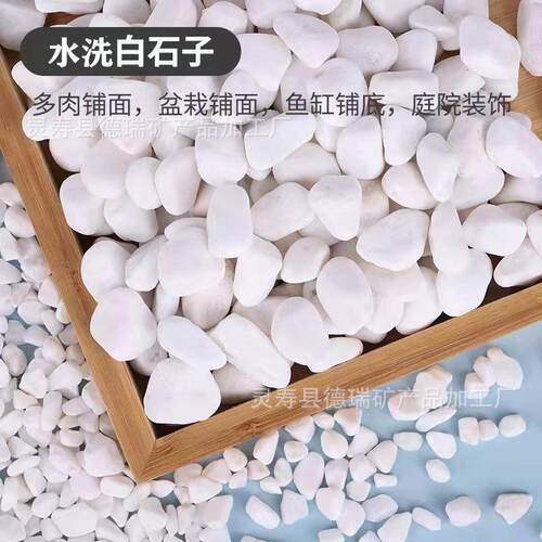 厂家白色石米白石米石鹅卵石多肉盆栽装饰石鹅卵白石子小白石