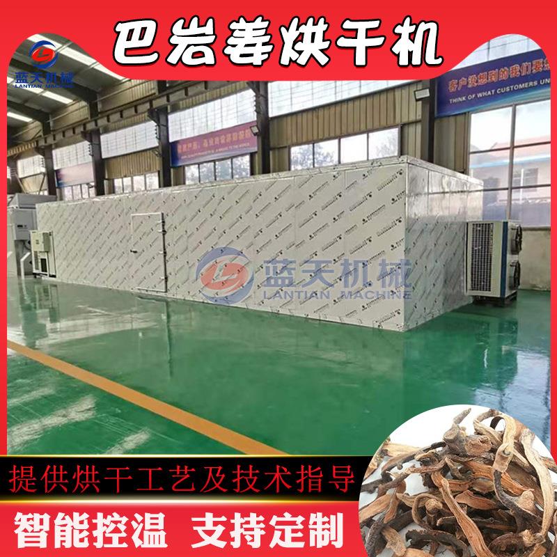 巴岩姜烘干机 爬岩姜石碎补烧颗粒烘干设备 骨碎补中药材烘干设备