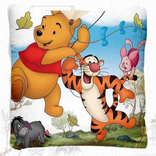 正品小维尼熊 Winnie he Pooh 维尼熊 抱枕被枕床上小 被子靠垫t