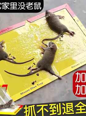 粘鼠板强力粘鼠标老鼠贴新款家用强力胶抓杀大老鼠老鼠板老鼠粘