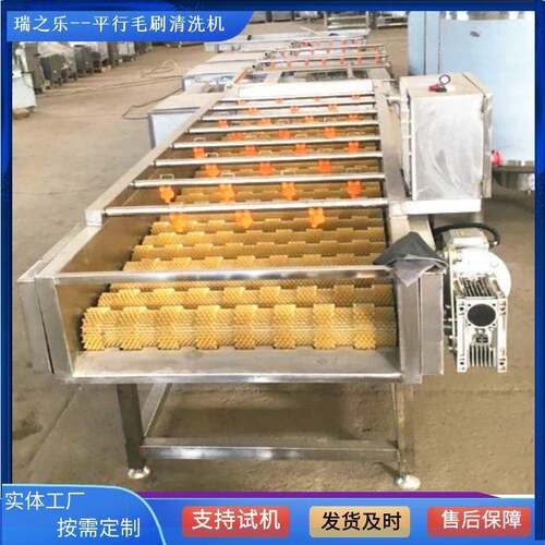 生蚝平行毛刷清洗机全自动海螺清洗机柚子平行清洗设备自动喷淋