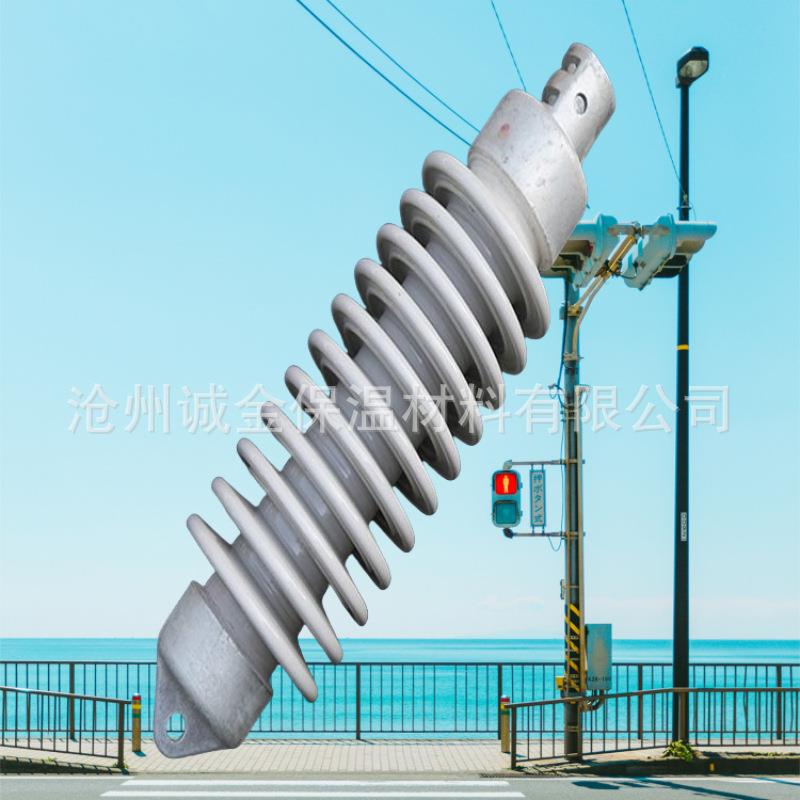 QBS-25/8 双重绝缘铁路绝缘子电气化 铁路腕臂绝缘子QBSN-25/8