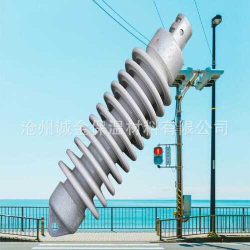 QBS-25/8 双重绝缘铁路绝缘子电气化 铁路腕臂绝缘子QBSN-25/8