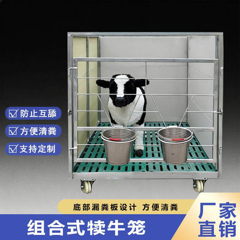 养牛设备可移动式犊牛笼漏粪板设计方便清粪木板间隔防止小牛互舔